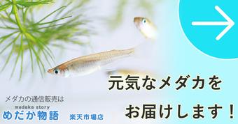 添付ファイル