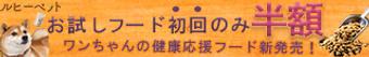 添付ファイル
