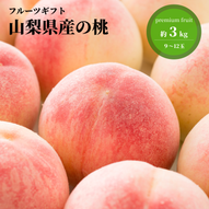 添付ファイル