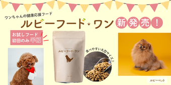 添付ファイル
