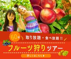 添付ファイル
