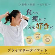 添付ファイル