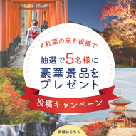 添付ファイル