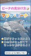 添付ファイル