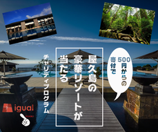 添付ファイル