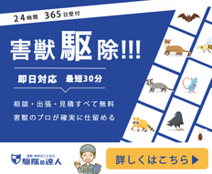 添付ファイル