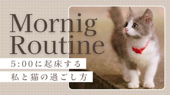 添付ファイル
