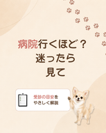 添付ファイル