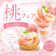 添付ファイル