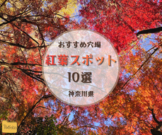 添付ファイル