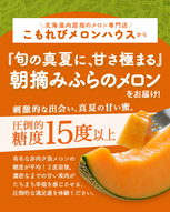 添付ファイル