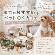 添付ファイル